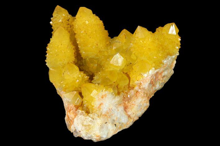 Sunshine Cactus Quartz Crystal Cluster - South Africa #132895